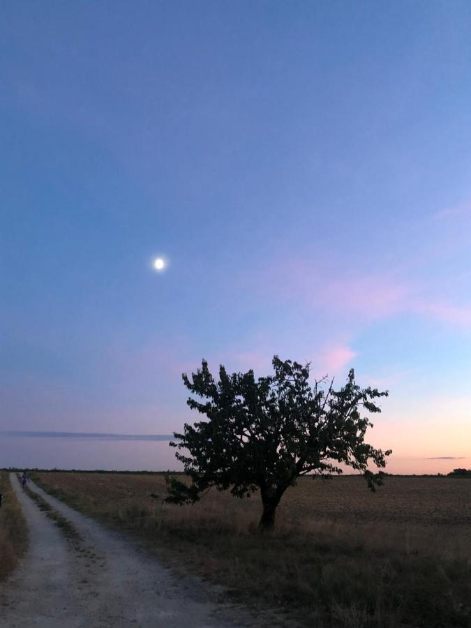 Domaine Des Chabriers Bed & Breakfast Ourches ภายนอก รูปภาพ